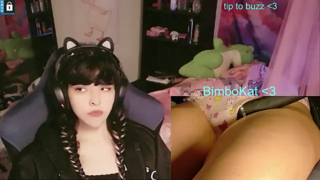 Show webcam de BimboCat