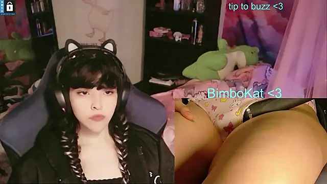 BimboCat: вебкам-шоу