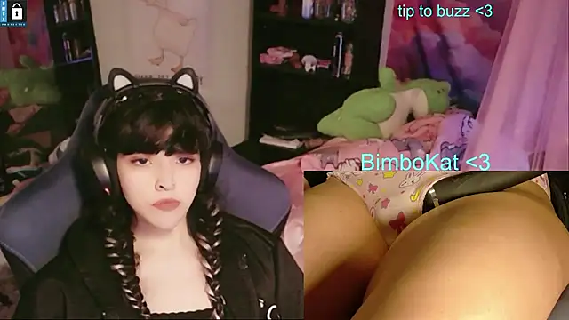 BimboCat Show in webcam