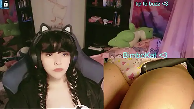 Show webcam de BimboCat