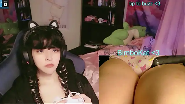 הופעת וובקאם של BimboCat