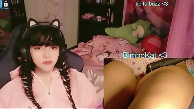 BimboCat: вебкам-шоу
