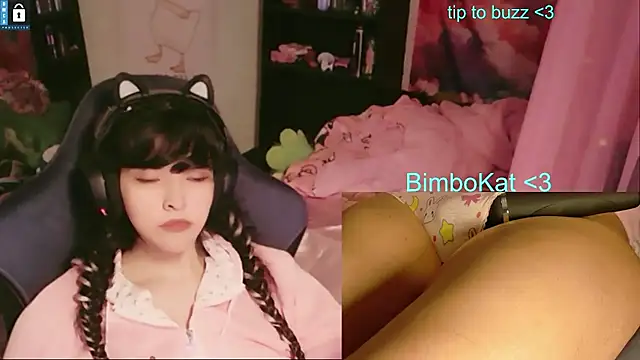 Show webcam de BimboCat