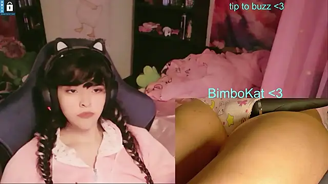 BimboCat – Kamerová šou