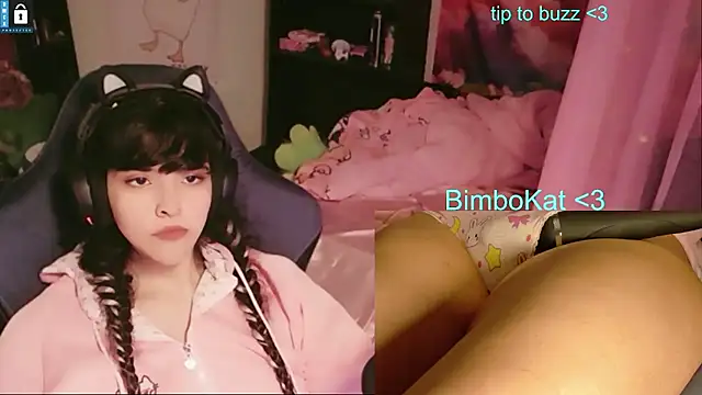 BimboCat webkamerás műsora