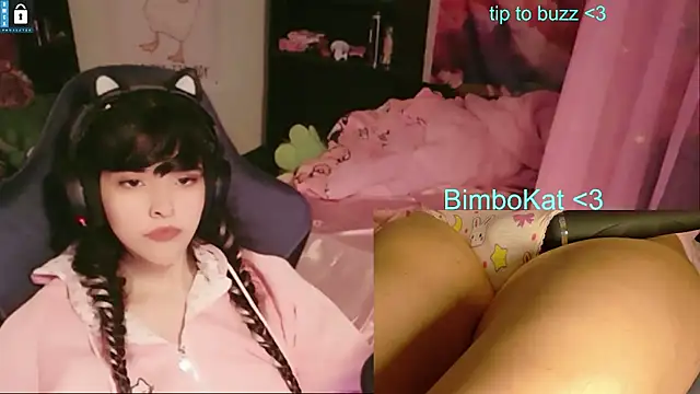 BimboCat's Webcam Show