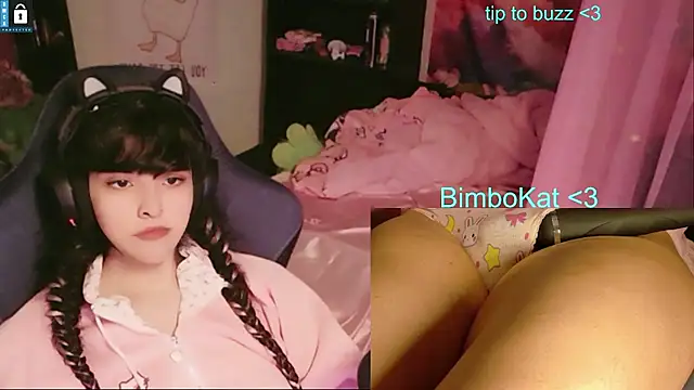 BimboCat Show Webcam