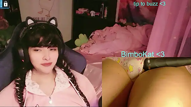 BimboCat webkamerás műsora