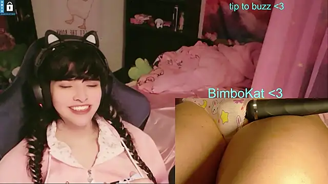 Show de BimboCat na webcam