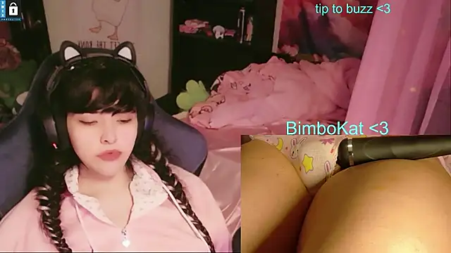 BimboCat: διαδικτυακό σόου στην κάμερα