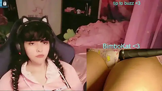 BimboCat webcam show