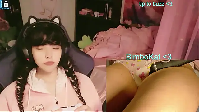 BimboCat Show in webcam