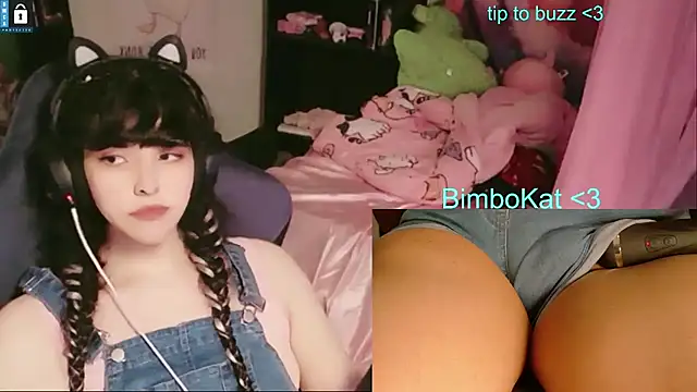 Show webcam de BimboCat