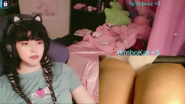 BimboCat Show in webcam