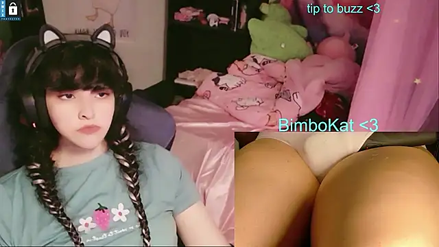 Show Webcam de BimboCat