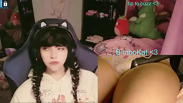 BimboCat Show in webcam