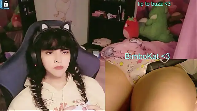 BimboCat – Kamerová šou