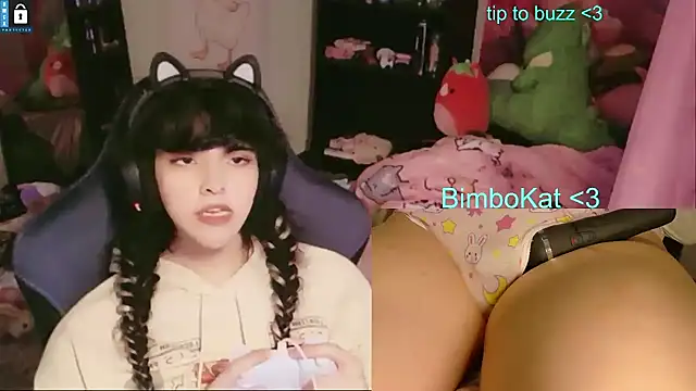 BimboCat Show in webcam