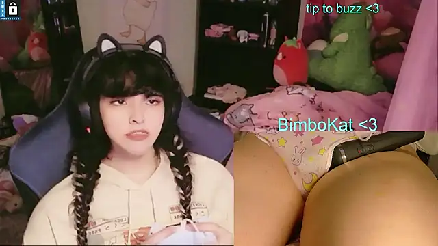 Show webcam de BimboCat