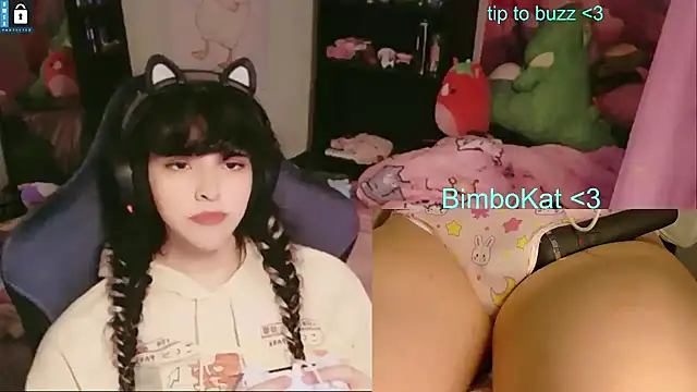 הופעת וובקאם של BimboCat