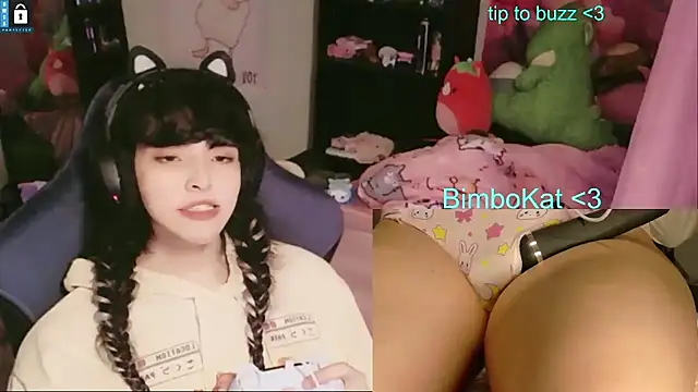 BimboCat: вебкам-шоу