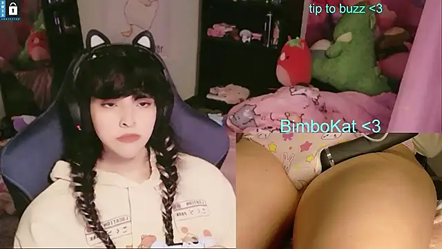 Pertunjukan Kamera Web BimboCat