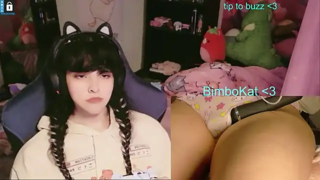 Show webcam de BimboCat
