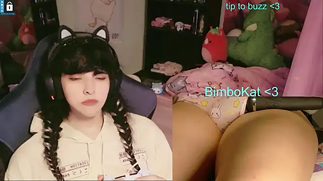 BimboCat webkamerás műsora