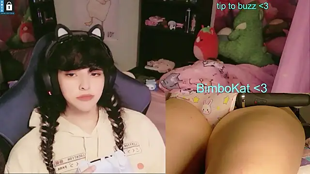 BimboCat webkamerás műsora