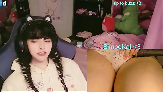 BimboCat Show in webcam