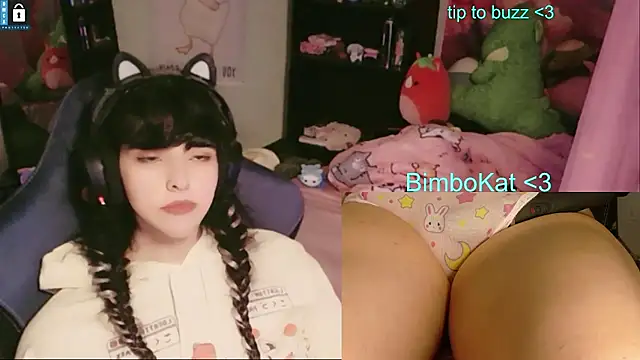 BimboCat webkamerás műsora