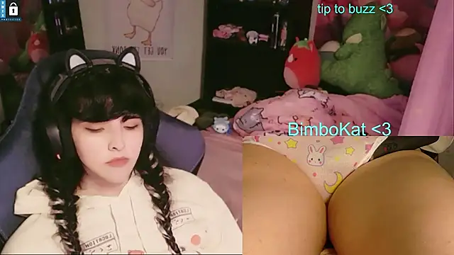 Show de webcam de BimboCat