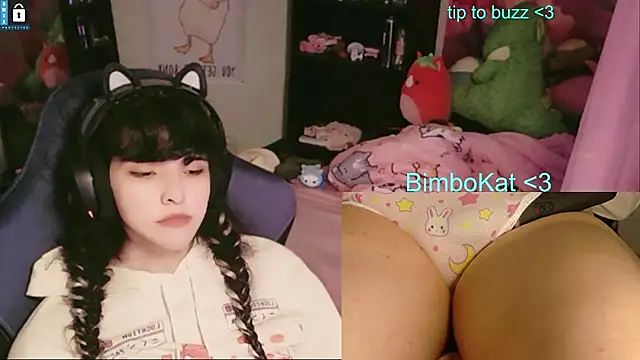 BimboCat Show in webcam