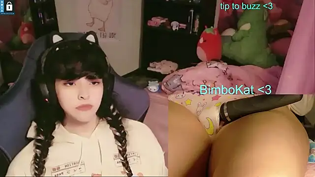 הופעת וובקאם של BimboCat