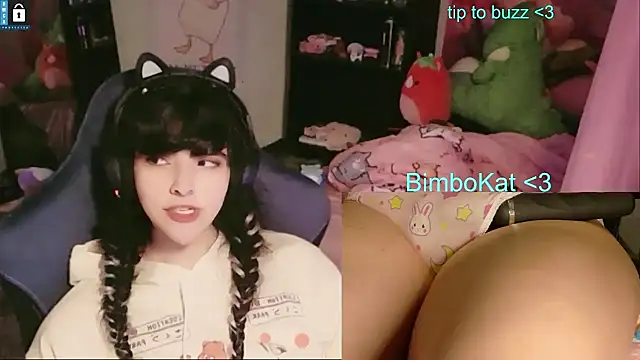 BimboCatのウェブカメラショー