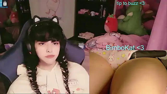 BimboCat Show Webcam