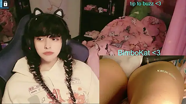 Show webcam de BimboCat