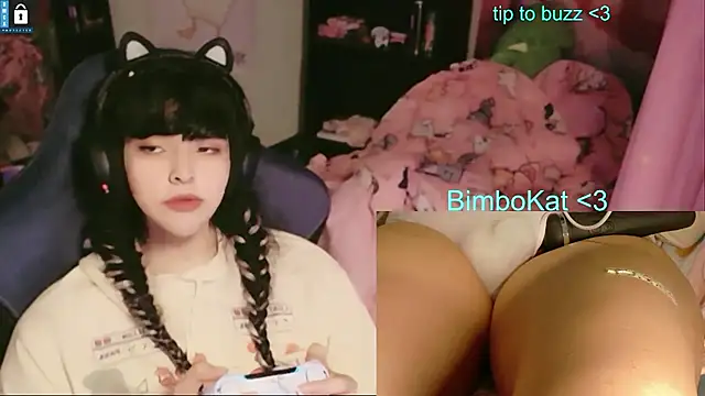 Show webcam de BimboCat
