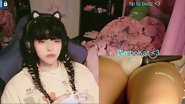 Show de BimboCat na webcam