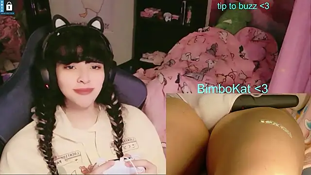 Show Webcam de BimboCat