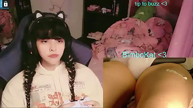 BimboCat Show in webcam