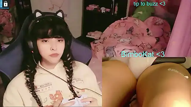 BimboCat: διαδικτυακό σόου στην κάμερα