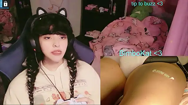 Show webcam de BimboCat