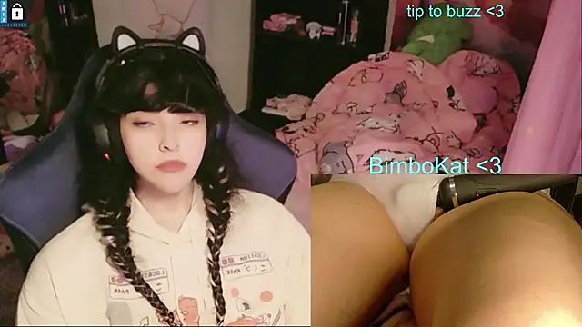 Show Webcam de BimboCat