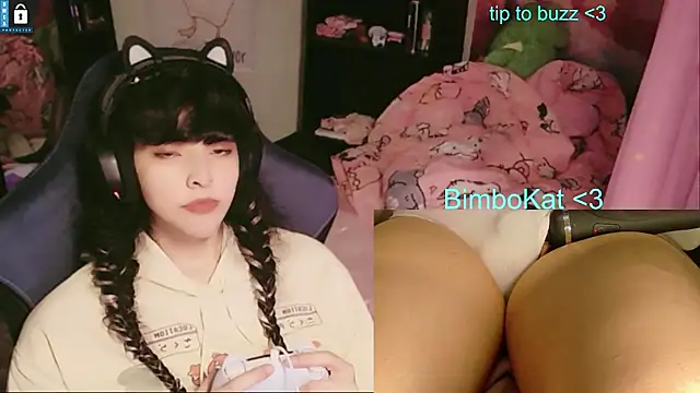 הופעת וובקאם של BimboCat