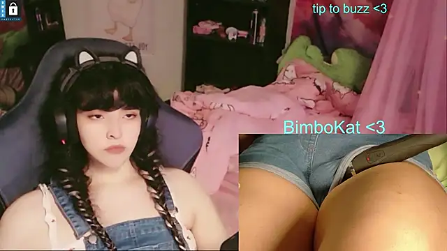Show de BimboCat na webcam