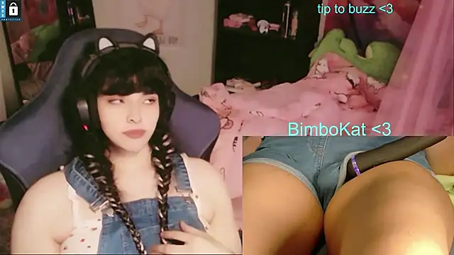 BimboCat's Webcam Show