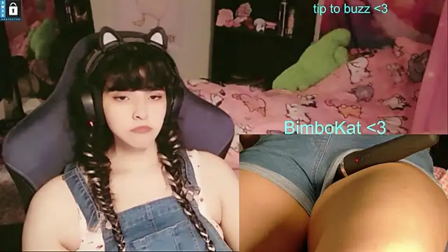 BimboCat Show in webcam