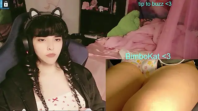 Show webcam de BimboCat