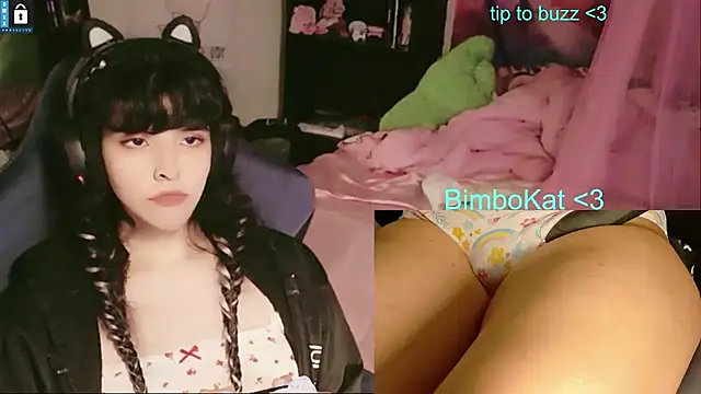 Show Webcam de BimboCat